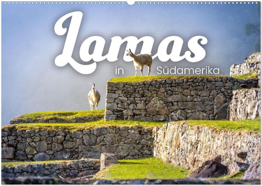 Lamas in Südamerika (Wandkalender 2026 DIN A2 quer), CALVENDO Monatskalender