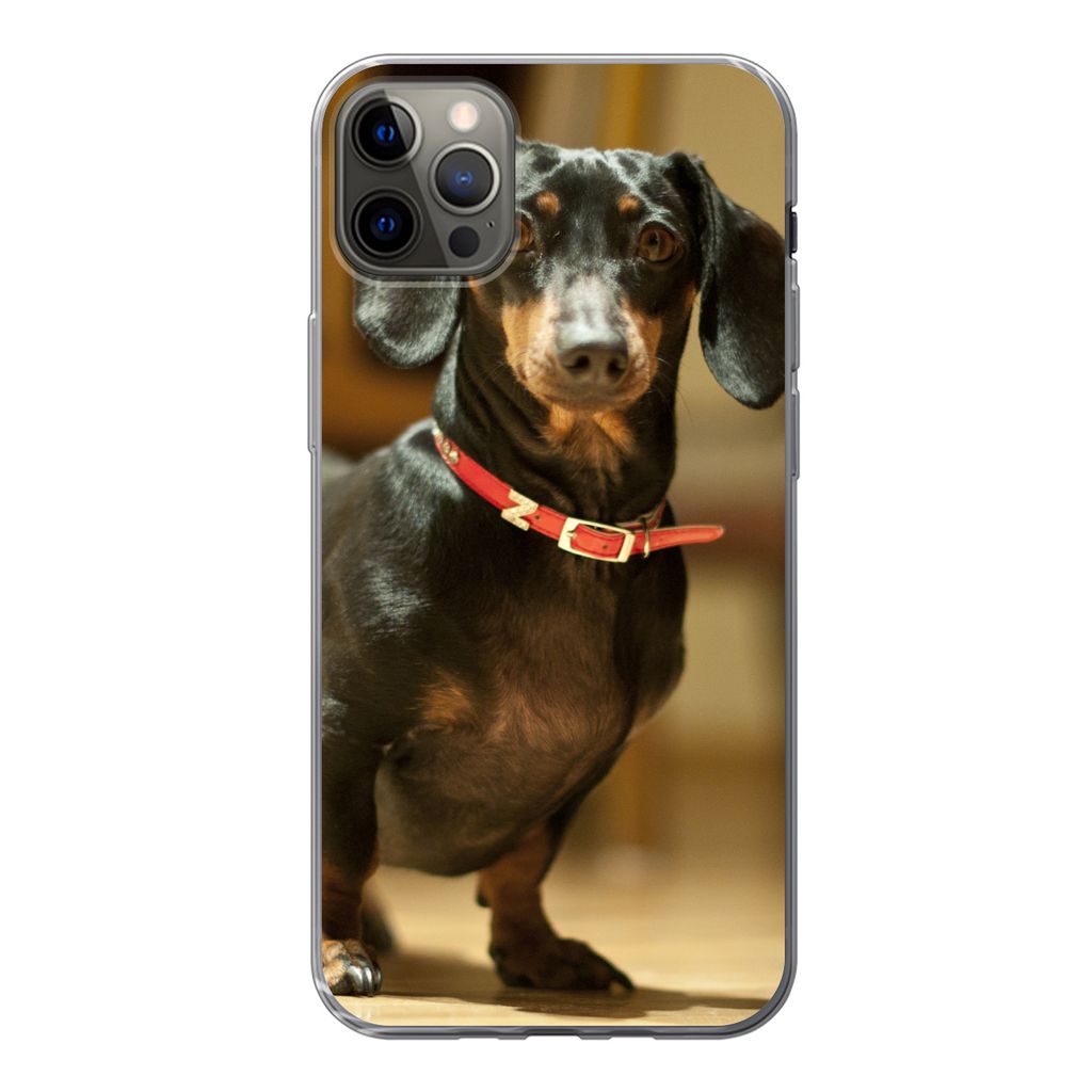 MuchoWow Handyhülle Schutzhülle Hülle für iPhone 12 Pro Max Porträt eines schwarzen Dackels Silikon Softcase Handy Hülle - Hartschale