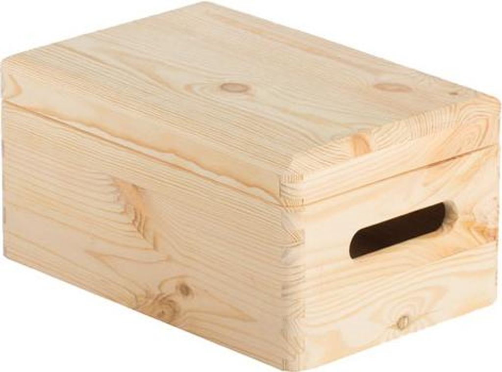 Aufbewahrungsbox mit Deckel 20x15x9cm - Astigarraga