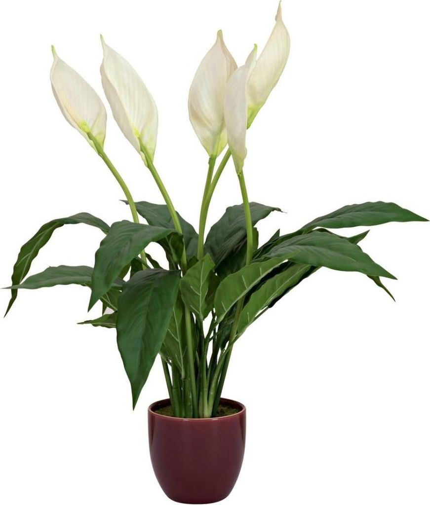 artplants.de Künstliche Blume Einblatt AYASHA mit Blüten, Keramiktopf, weiß, 60cm - Kunstblume