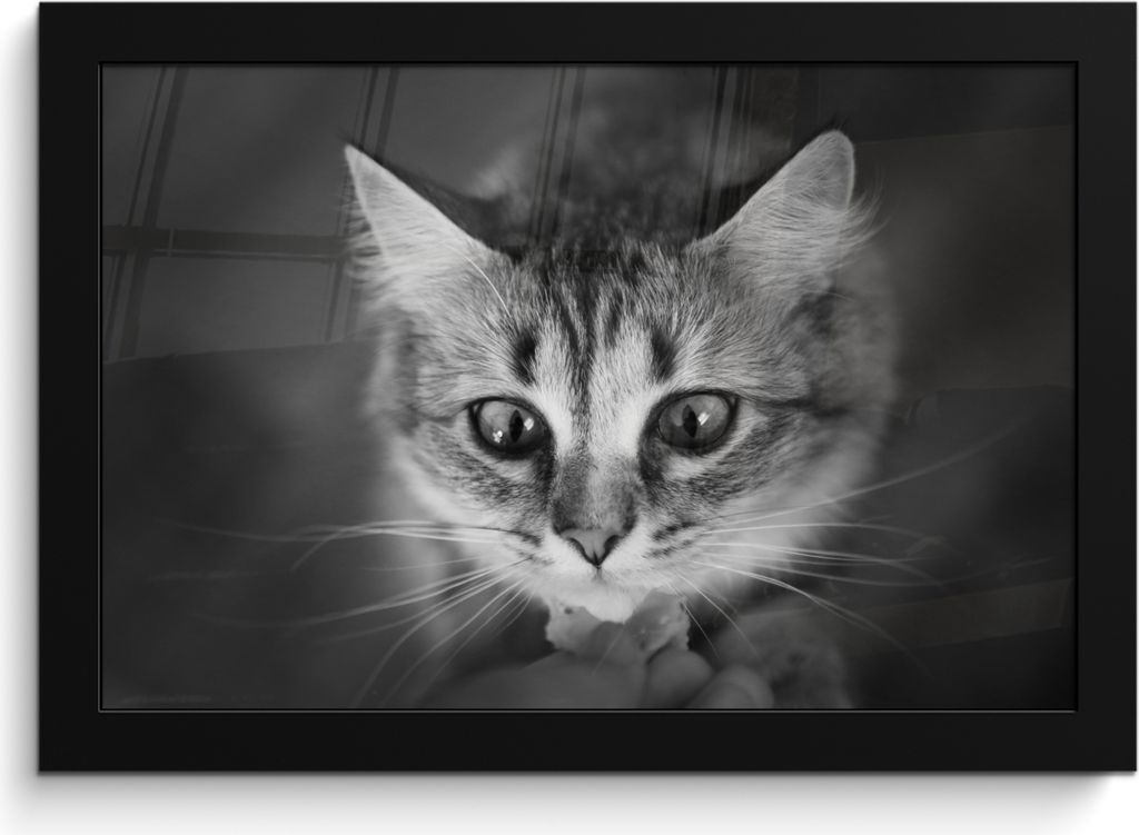 MuchoWow MuchoWow Gerahmtes Poster Tierprofil riechende Katze in schwarz und weiß 30x20 cm - Poster mit zchwarzem Bilderrahmen - Kunstdruck - ...