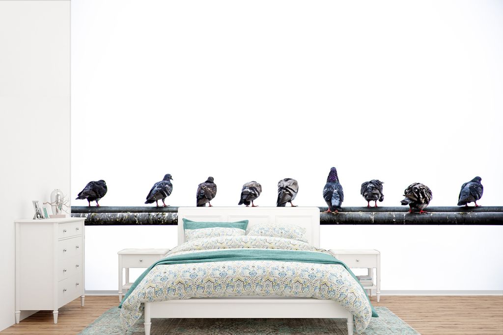 MuchoWow Fototapete für Wohnzimmer oder Schlafzimmer Wandtapete Vinyl Motivtapete Eine Reihe von Tauben, die auf einem Bleirohr sitzen - 360x240...