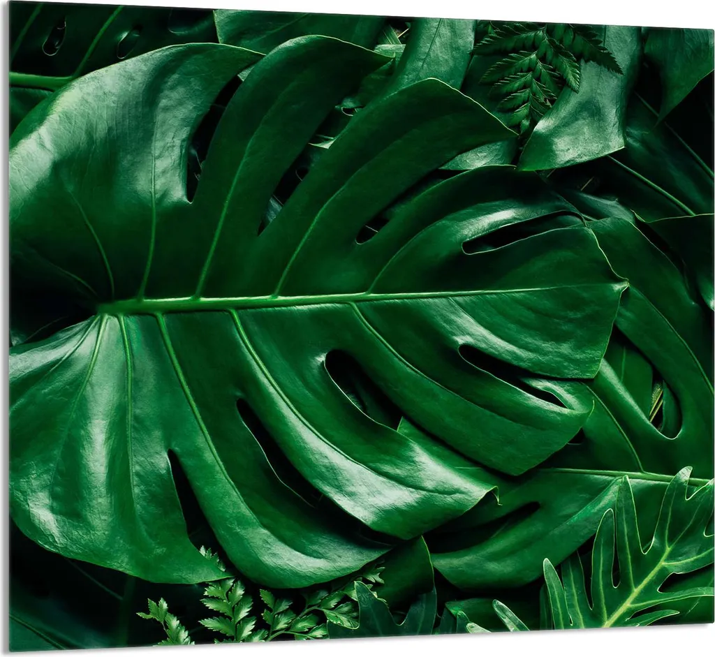 PIATTO IN VETRO PER CUCINA 65x60 Monstera