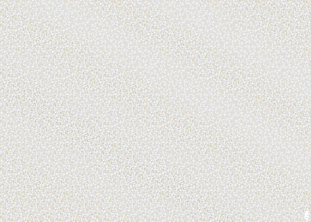 Papier pour Faire-part et Photophores Heyda 204879458 Transparent 50x70