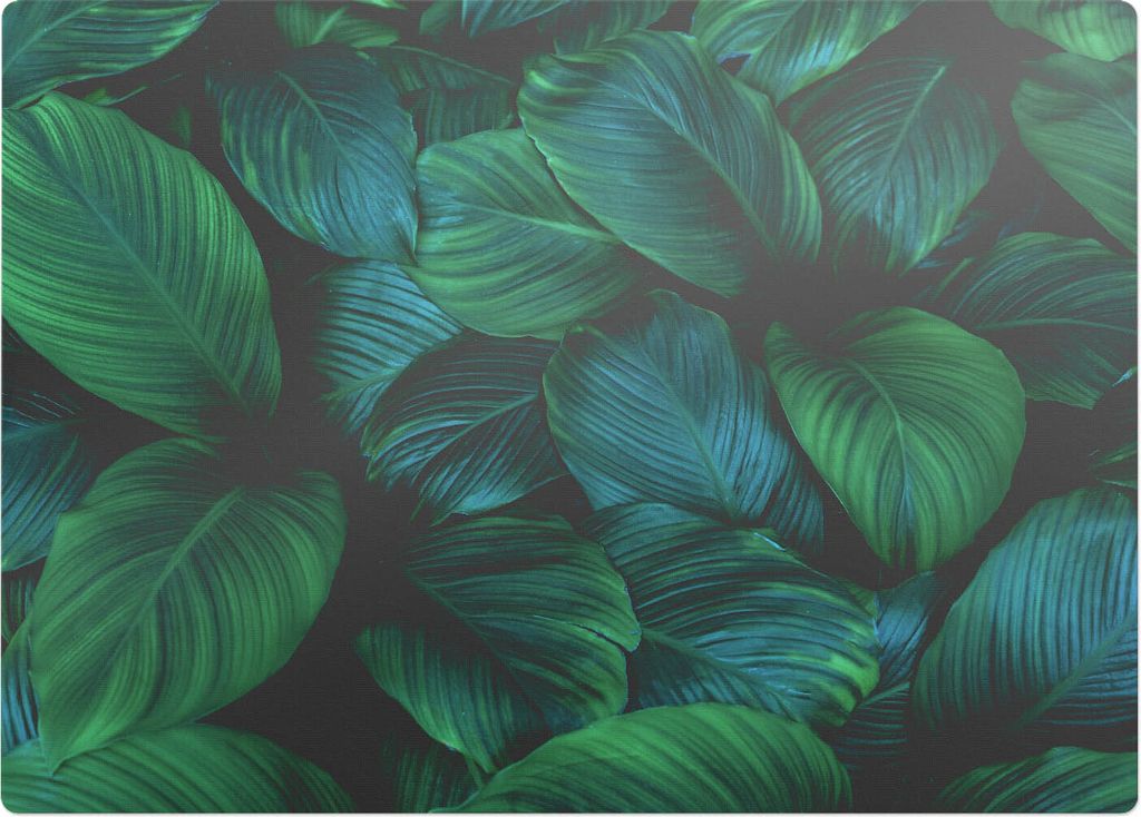 Tropische Blätter – Bodenschutzmatte – Stuhlunterlage 140x100 cm – Rutschfest – Hartbodenmatte