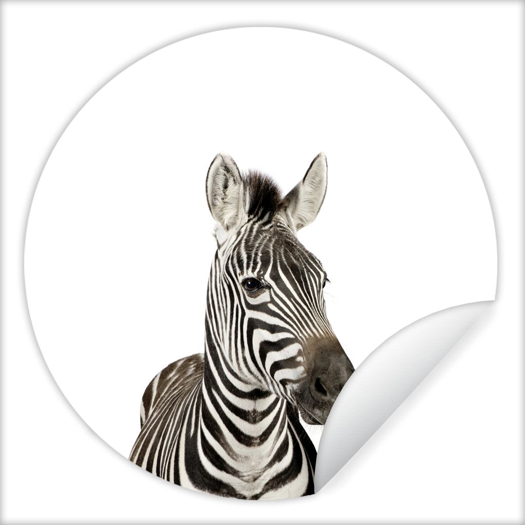 MuchoWow Runde Wandtattoo - Wandsticker Tapete Aufkleber Tiere - Zebra - Kinder - Weiß - Porträt - Mädchen Ø 80 cm Selbstklebend und Repositi...