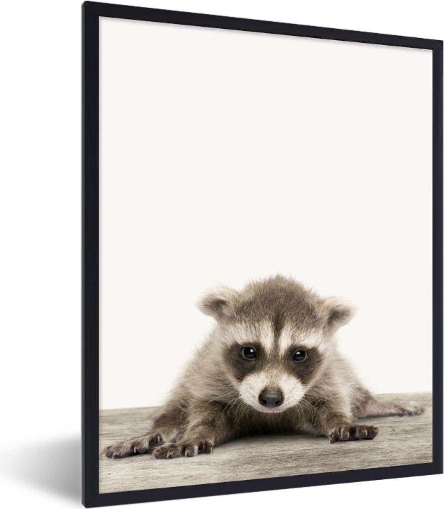 MuchoWow® Gerahmtes Poster Waschbär - Tiere - Jungen - Produktbild 