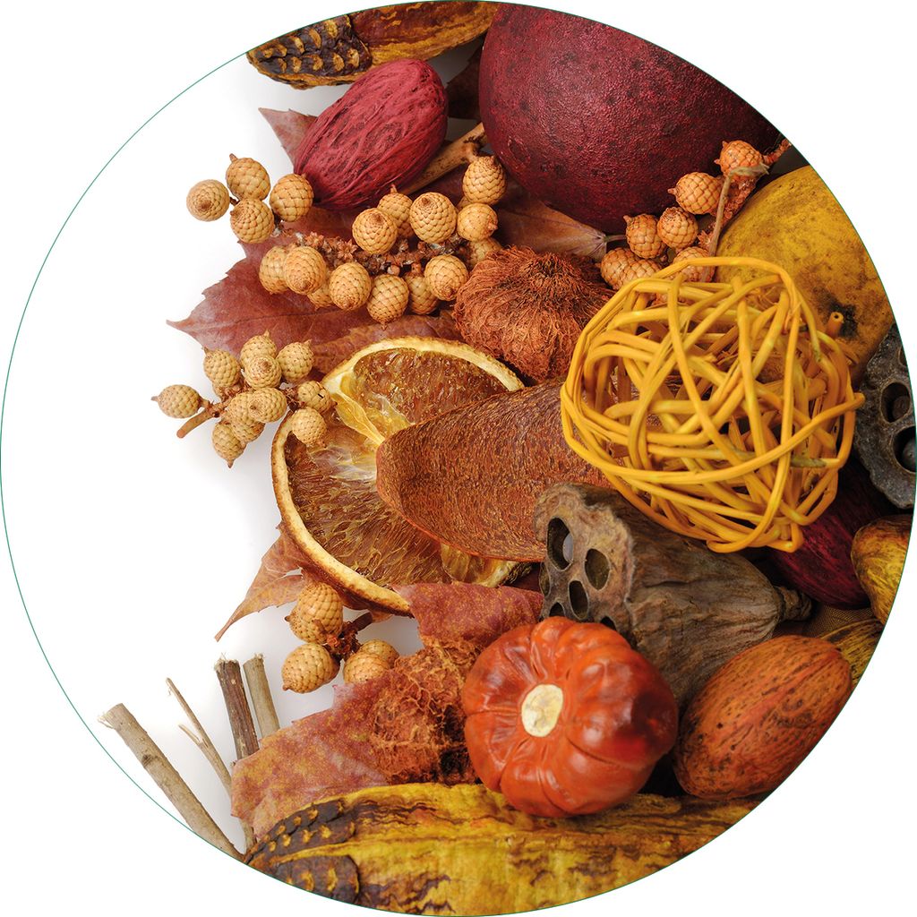 Wallario Premium Glasbild, freischwebende Optik, kräftige Farben, rund 50cm Durchmesser, Motiv Herbststimmung - Trockenfrüchte, Nüsse und Samen ...