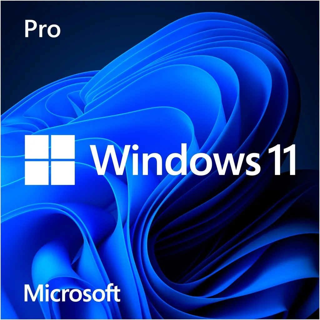 Sécurisez votre PC avec Windows 11 Pro 64Bit DSP DVD Néerlandais - 2
