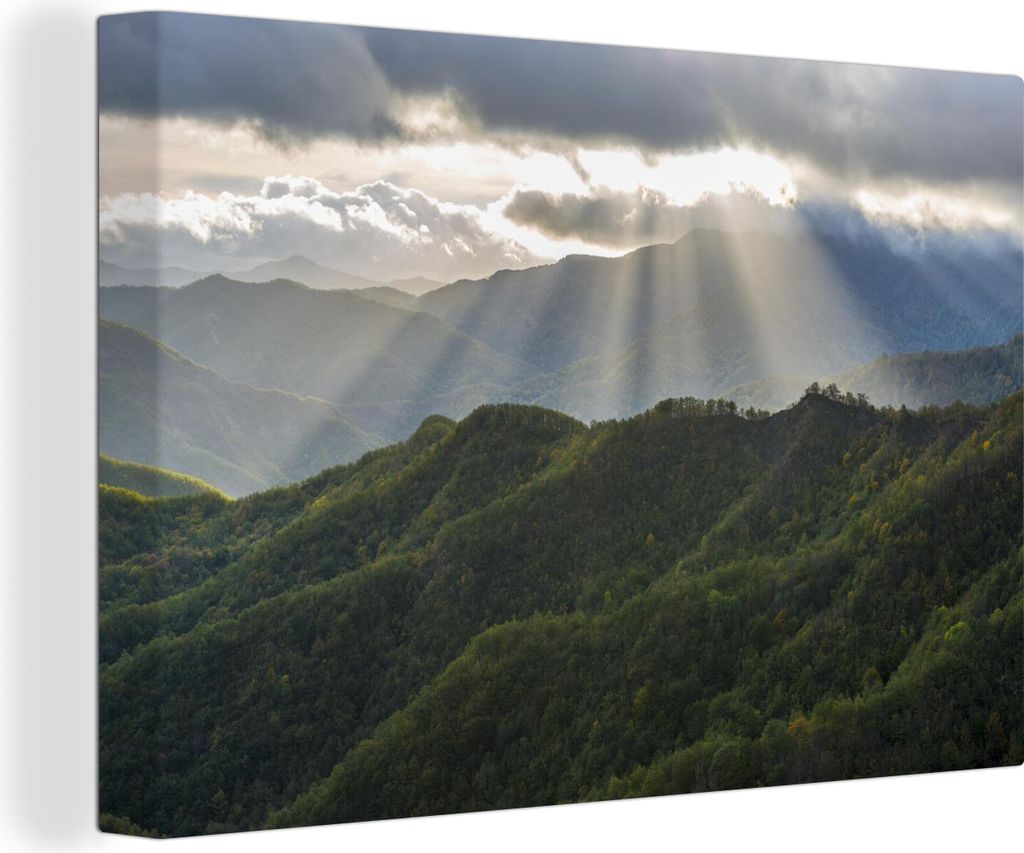 OneMillionCanvasses - Leinwandbilder - 140x90 cm, Lichtstrahlen im Nationalpark Foreste Casentinesi in Italien, Wandbilder Kunstdruck Wanddekorat...