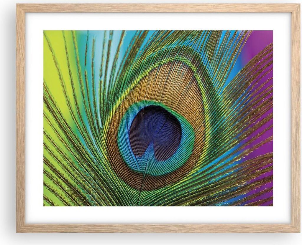 Gerahmtes Poster - Rahmen in heller Eiche - Pfauen Federn Regenbogen - 50x40 cm - Wand Bild - Wanddeko - Wandbilder - Kunstposter - Wandposter - Bi...