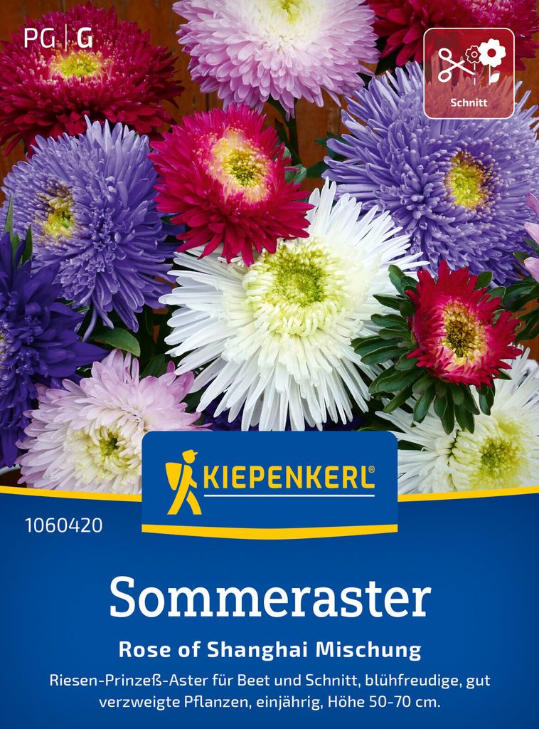 Kiepenkerl Sommerastersamen Rose of Shanghai Callistephus chinensis 50 Pflanzen