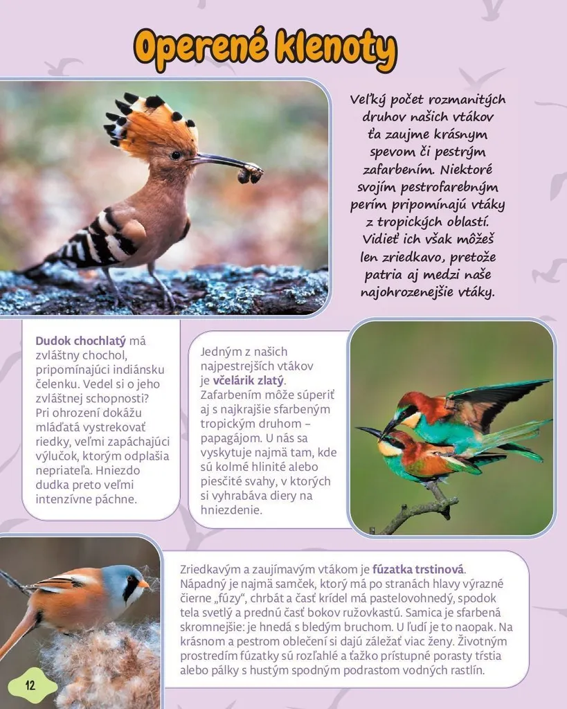 Livre Nature Slovaquie Moja malá kniha - Guide visuel pour voyage - 2