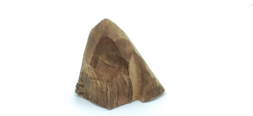 Os Briar Root en bois de bruyère résistant pour chien format S - 9