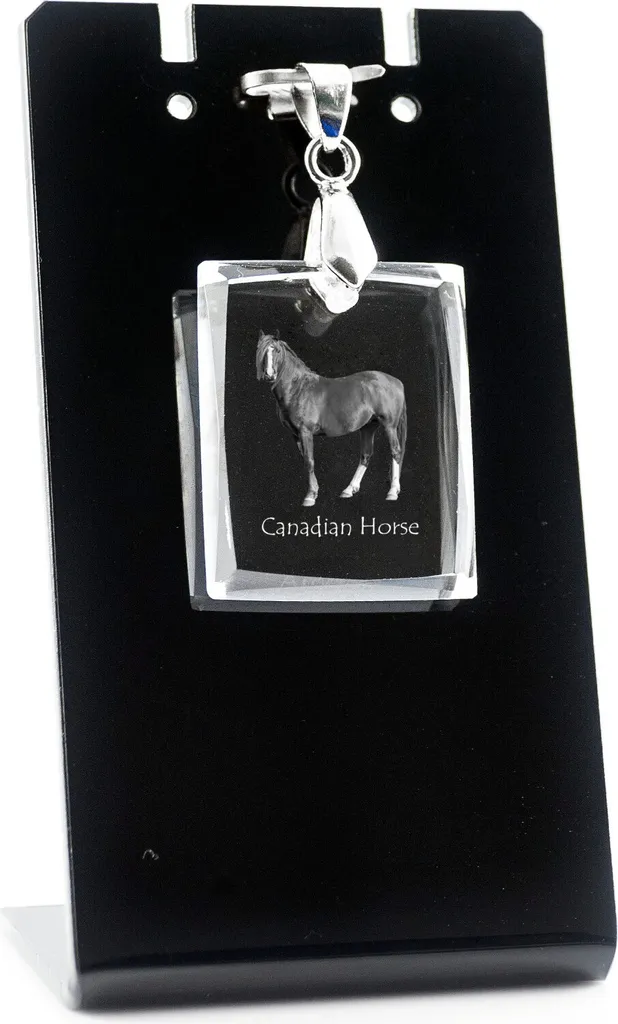 Kanadský kůň - Pendente in cristallo con cavallo, collana con foto, gioiello unico di Art-Dog
