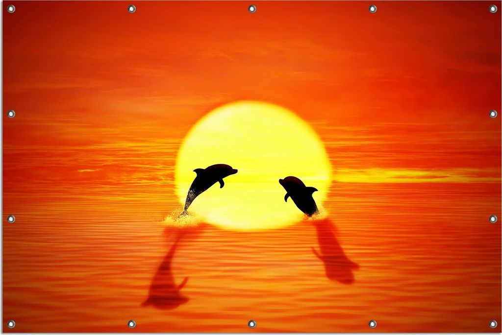 Wallario Outdoor-Poster für Garten oder Balkon, Motiv Delphine im Sonnenuntergang, in ca. 120 x 180 cm