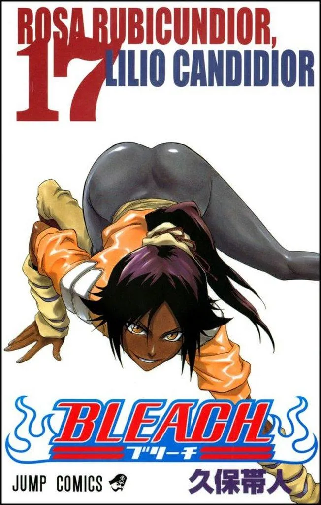 Complétez votre Collection Bleach avec l'Artbook de Tite Kubo Original
