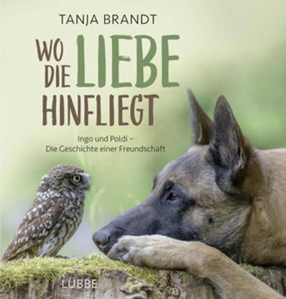 Wo die Liebe hinfliegt - Livre pour expliquer l'amitié et les émotions