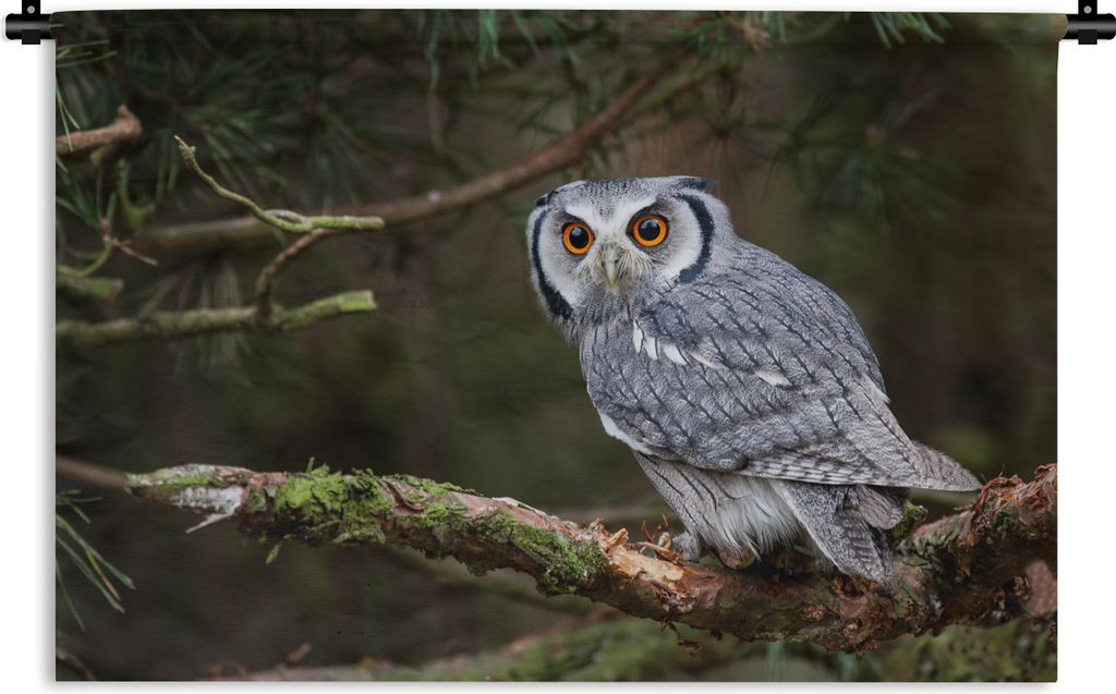 MuchoWow Wandteppich Wandbehang Eule - Vogel - Äste - Natur 120x80 cm Tapisserie Dekoration Wandtuch - Wanddekorationen - Wandtücher