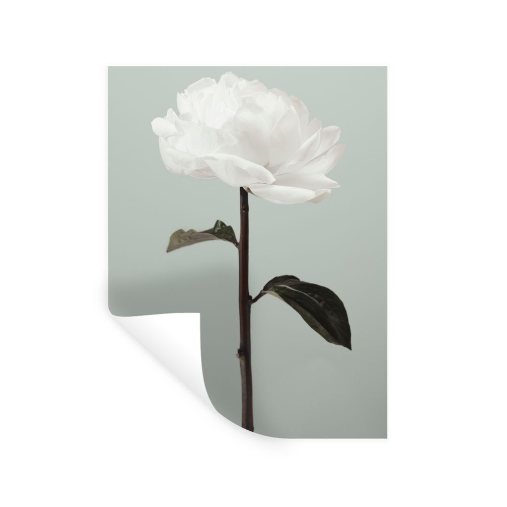 MuchoWow Wandtattoo Wandsticker Wandaufkleber Blumen - Rose - Grün - Weiß - Stilleben 60x80 cm Selbstklebend und Repositionierbar - Repositioni...