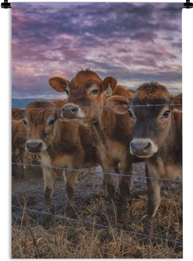 MuchoWow Wandteppich Wandbehang Kuh - Tiere - Kühe 60x90 cm Tapisserie Dekoration Wandtuch - Foto-Teppich - Abwaschbar