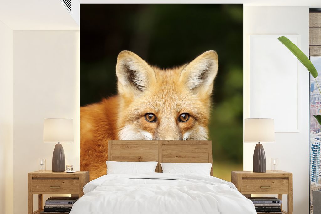 MuchoWow Fototapete für Wohnzimmer oder Schlafzimmer Wandtapete Vinyl Motivtapete Fuchs - Welpe - Porträt - 205x280 cm - Wandbild