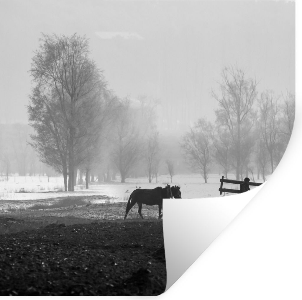 MuchoWow Wandtattoo Wandsticker Wandaufkleber Pferd - Bauernhof - Schnee 50x50 cm Selbstklebend und Repositionierbar - Selbstklebend - Fototapeten