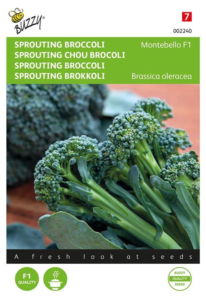 Sprouting Brokkoli Montebello F1 | Brokkolisamen von Buzzy Seeds