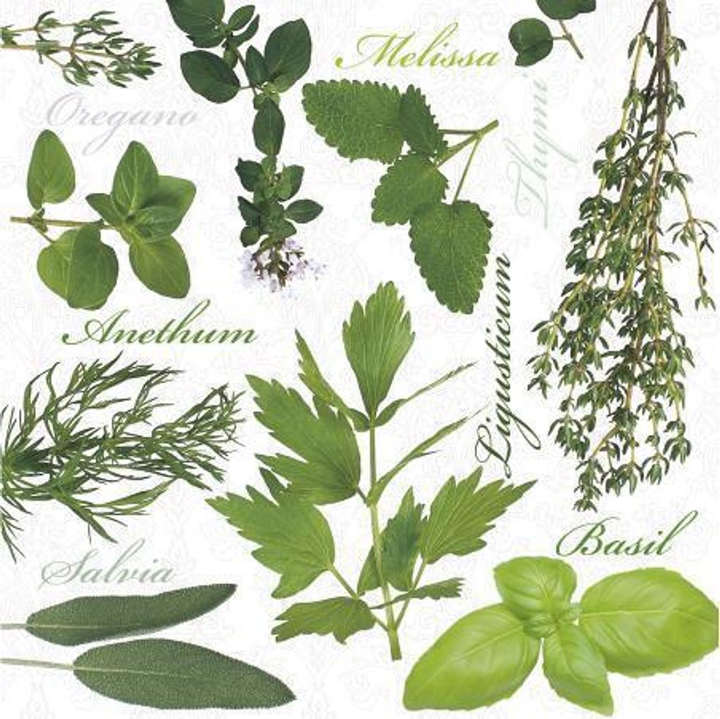 20 Servietten Herbal Taste - Verschiedene Kräuter 33x33cm Produktbild 