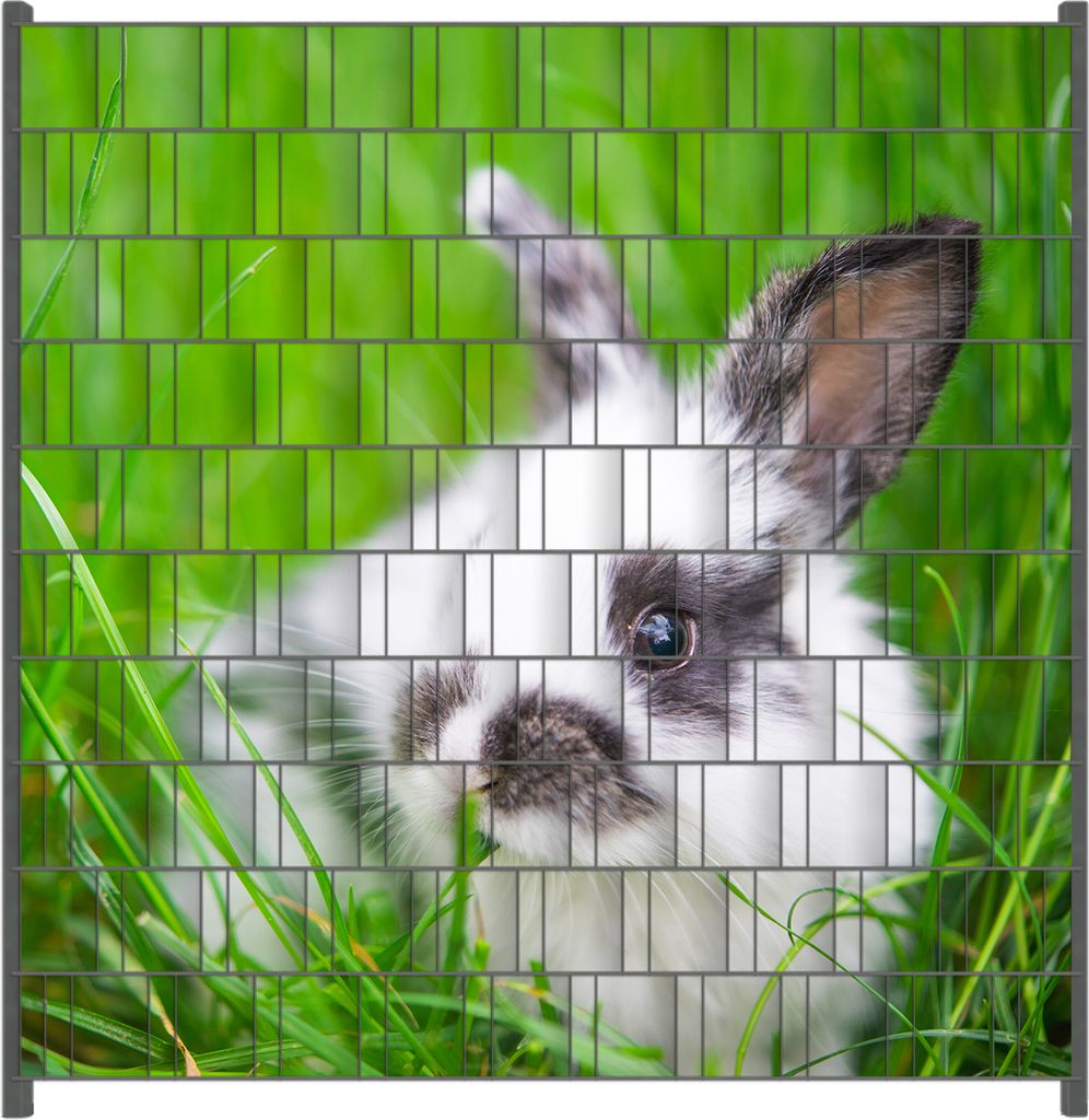 Wallario Zaunsichtschutz mit Motiv Süßer Hase im grünen Gras für Ein- und Doppelstabmatten Zäune in der Größe 200 x 200 cm