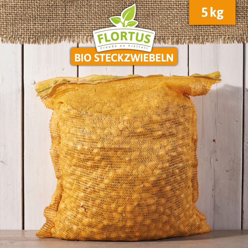 Wintersteckzwiebel Shakespeare | Steckzwiebeln von FLORTUS, Menge:5 kg