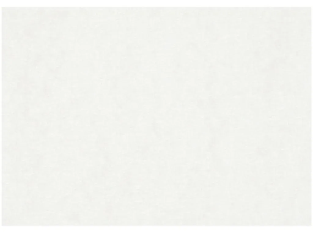 Papier pour peinture aquarelle A2 200g idéal pour ateliers et écoles