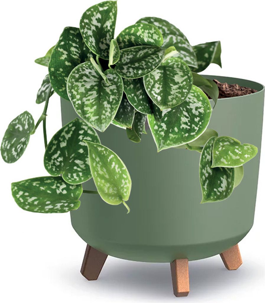 Prosperplast Blumentopf GRACIA TUBUS Grün 29,8 cm Produktbild 5