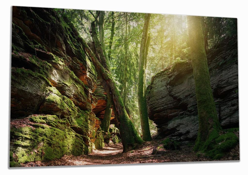 Wallario Herdabdeckplatte aus Glas, Größe 80 x 52 cm 1-teilig, Motiv Moosbewachsener Waldpfad im Sonnenlicht