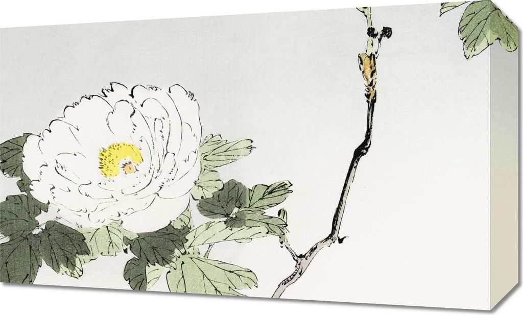 Bild 50x30cm Blühende Blume, Seiteni Japanisch Vintage