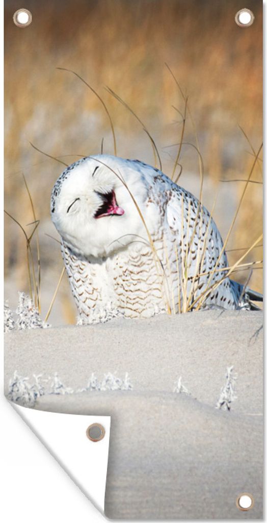 MuchoWow 40x80 cm Outdoor-Poster Gartendeko Sichtschutz Garten Poster für den Garten Eule - Schnee - Düne