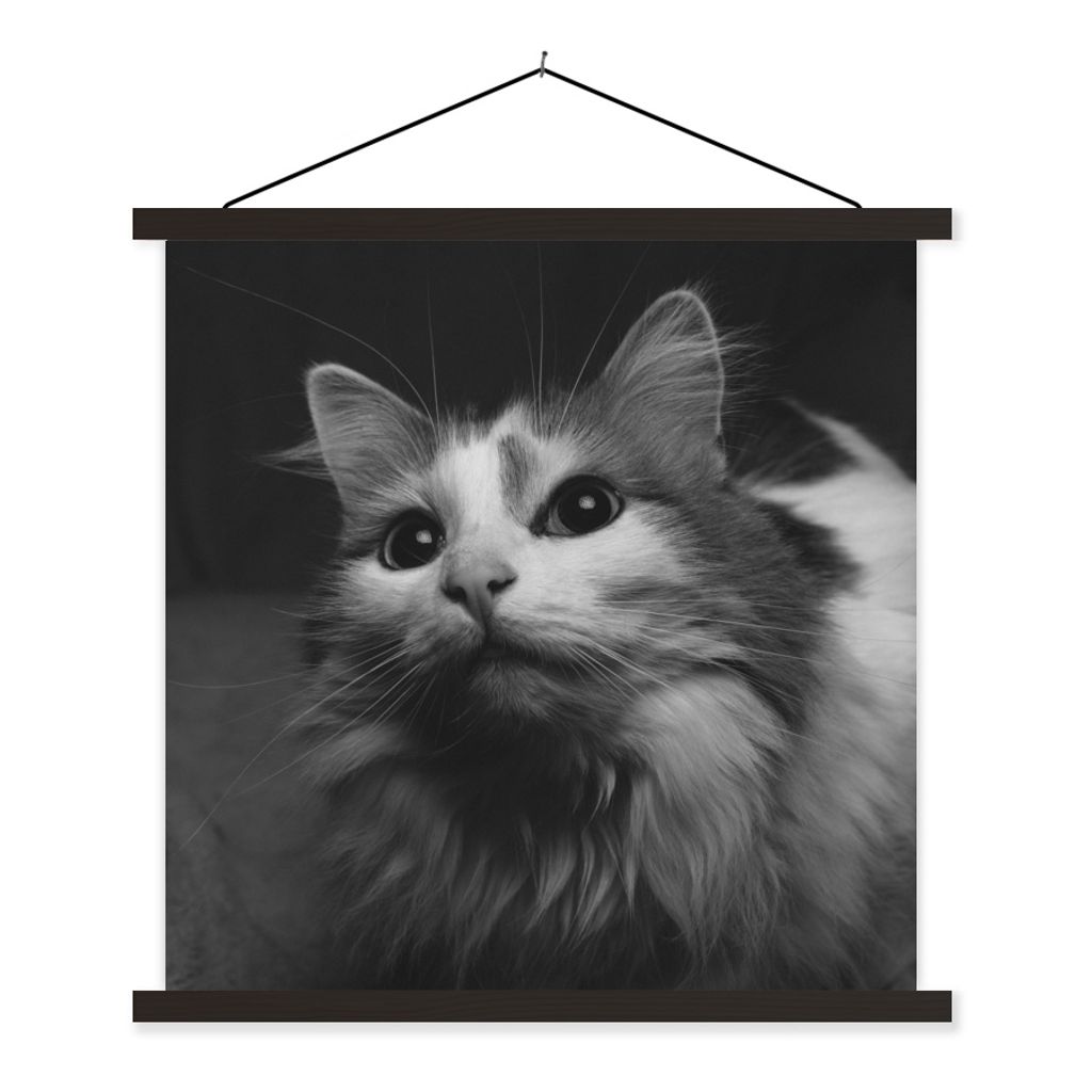 MuchoWow Textilposter Tierprofil Katze in schwarz und weiß 60x60 cm mit schwarzem Rahmen - Posteraufhänger