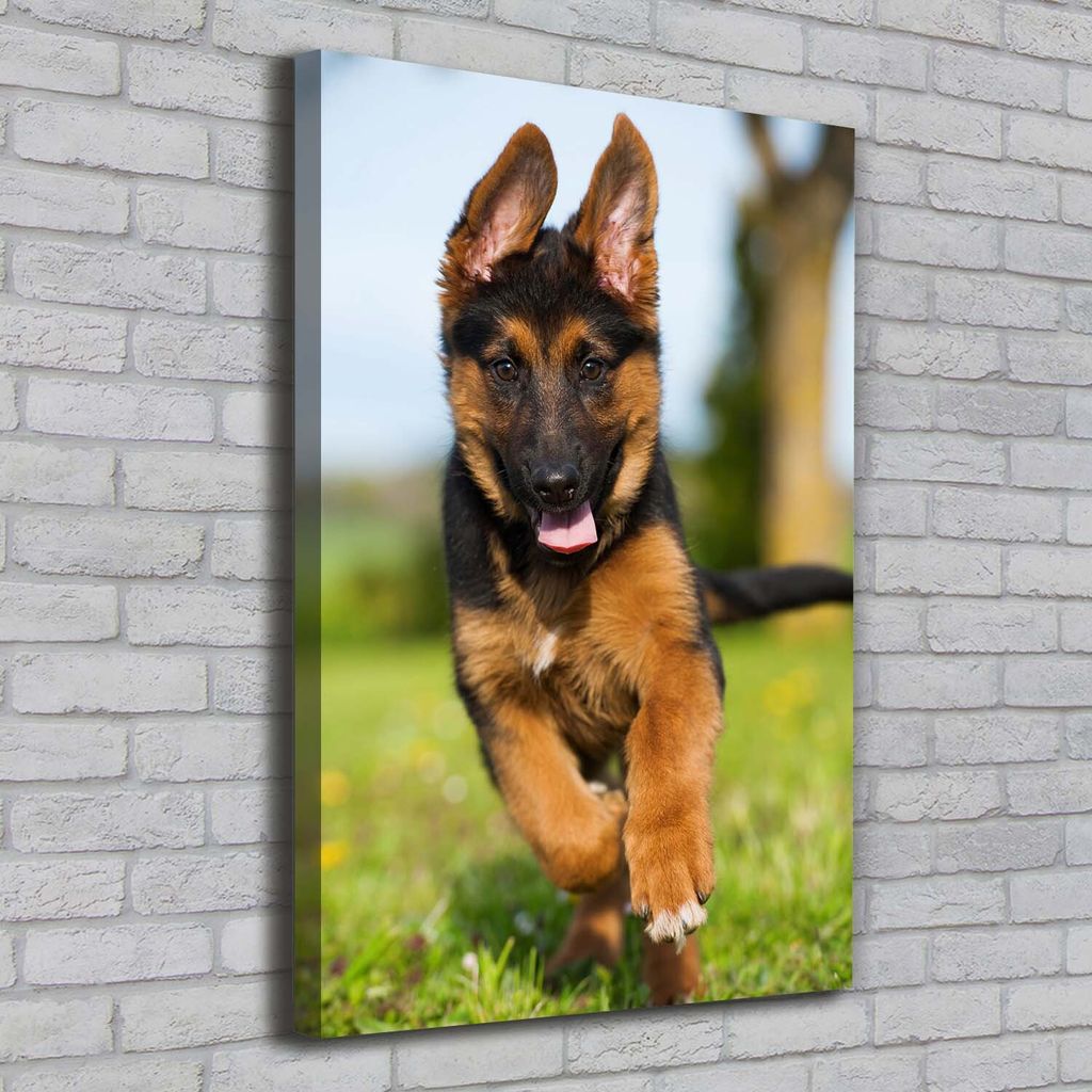 Tulup Leinwandbild - 70x100cm - Wandkunst - Drucke auf Leinwand - Leinwanddruck - Wohnzimmer Wanddekoration XXL - Wohnung Deko Kunstdrucke - Tier...