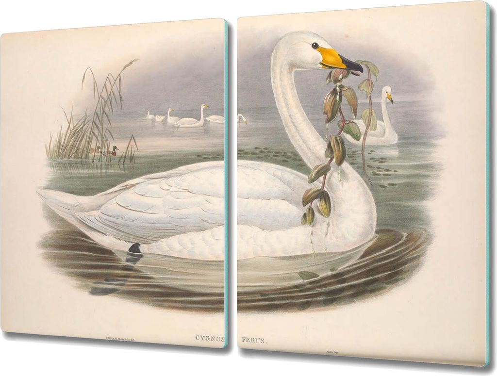 Coloray Hackbrett Herdabdeckplatte 2x40x52 cm Küchenbrett Kochplattenabdeckung Schneidebrett - Vögel Tiere