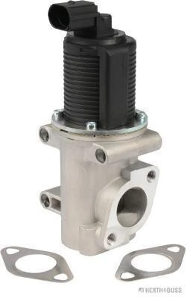 Soupape EGR anti-calamine avec joint étanche Fiat Bravo II 198