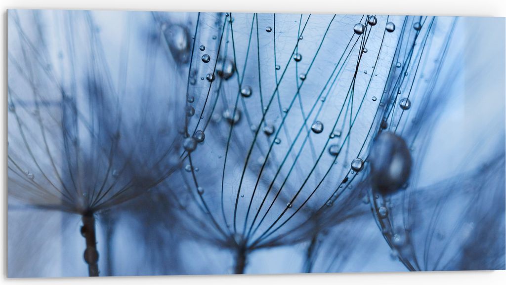 DEQORI Küchenrückwand Glas 80x40 cm 'Pusteblumenperlen' Spritzschutz Bad Rückwand Küche