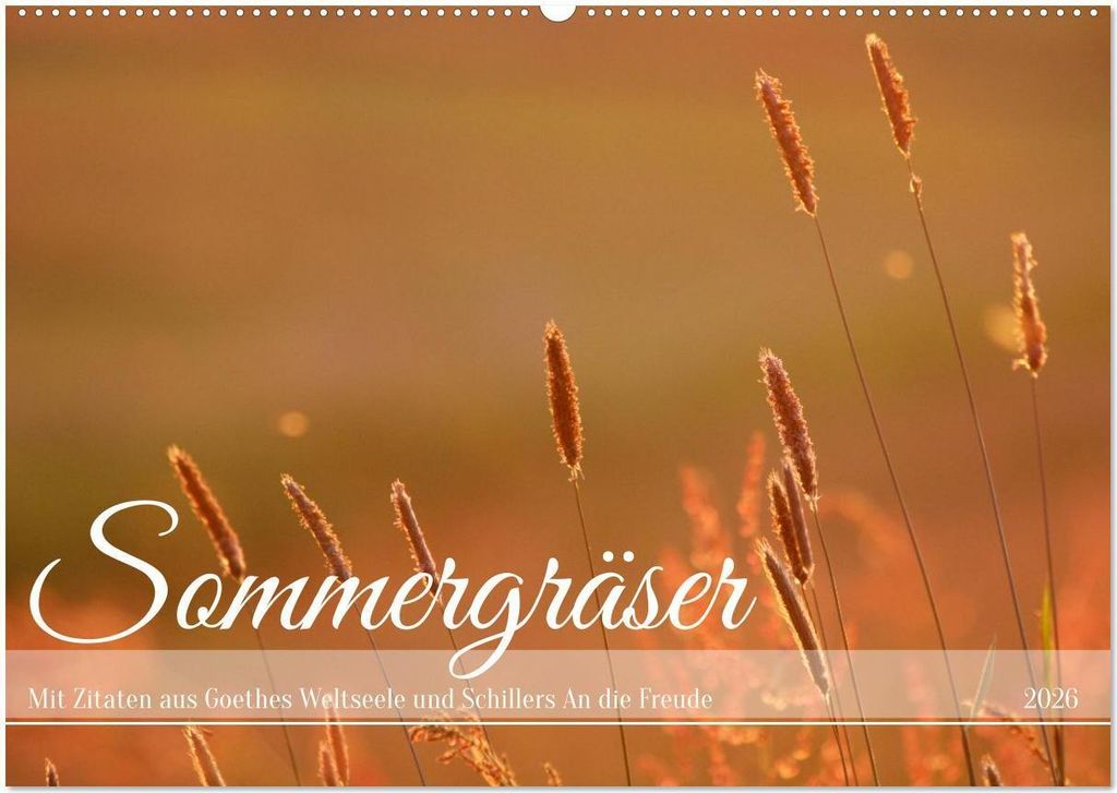 Sommergräser (Wandkalender 2026 DIN A2 quer), CALVENDO Monatskalender