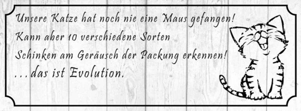 vianmo Holzschild 10x27 cm unsere Katze noch Maus gefangen Tier Haustier