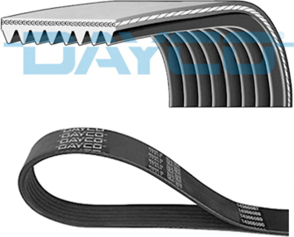 Courroie Dayco 8PK2575HD : fin des sifflements et des ruptures moteur