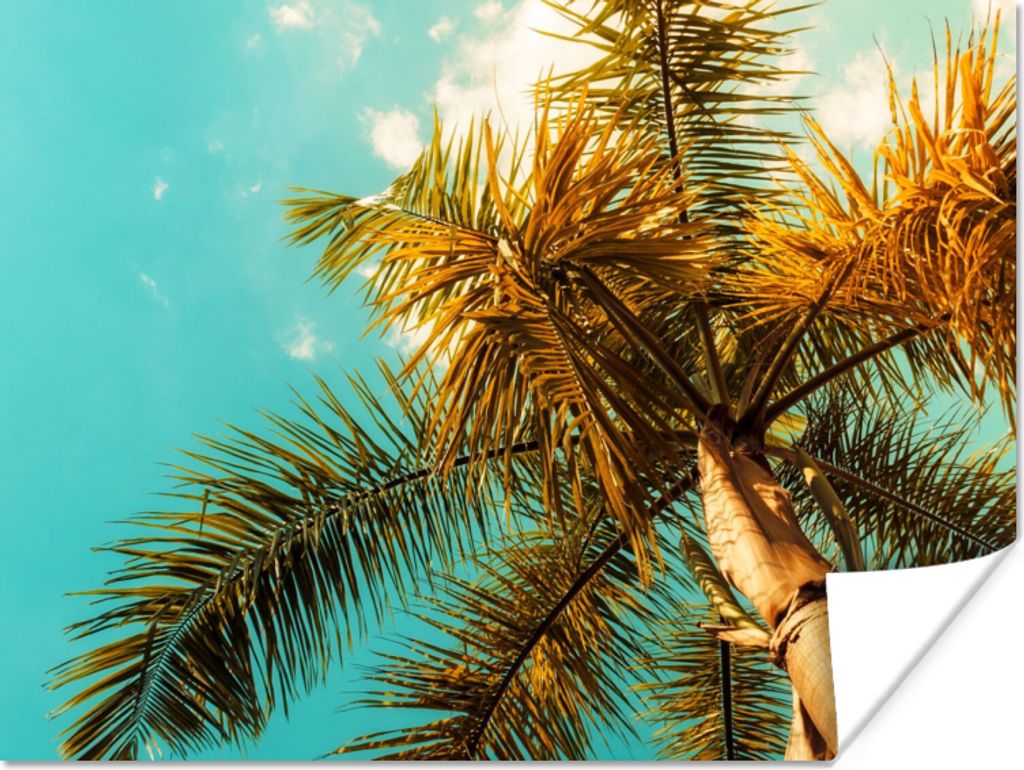MuchoWow Poster Palme - Sommer - Tropisch 160x120 cm - Foto Plakat