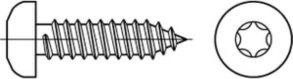 Reyher Linsenblechschrauben ISO14585 A2 4,2x60 -C-T20 A 2 (500 Stück)