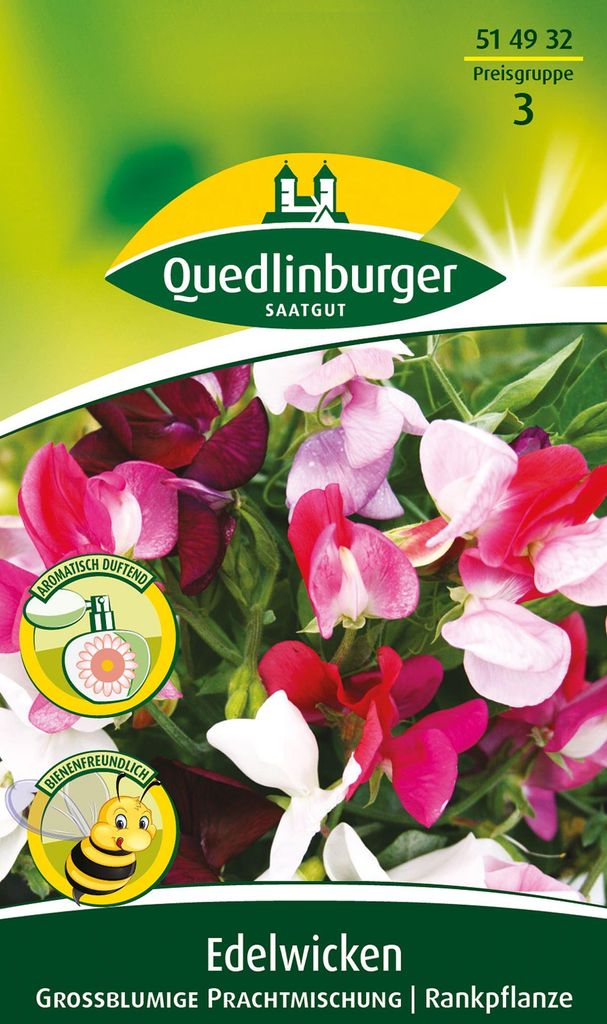 Quedlinburger Edelwicken Großblumige Prachtmischung - Blumensamen