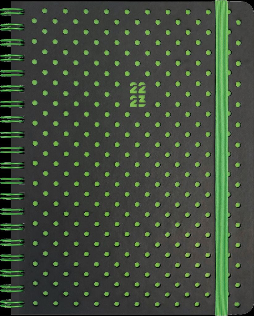 BRUNNEN 1071845163 Wochenkalender Schülerkalender 2022/2023 "Grey & Green" 2 Seiten = 1 Woche Blattgröße 12 x 16 cm A6 Kunstleder-Einba...