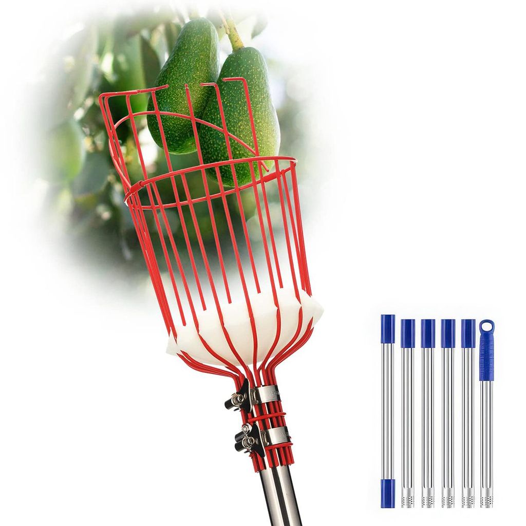 Obstpflücker mit Korb, langer Griff, 35–65 Zoll, verstellbares, mit Korb für Avocado, Eichel, Zitrone, Birne, Mango, Baumpflücker,2.4m