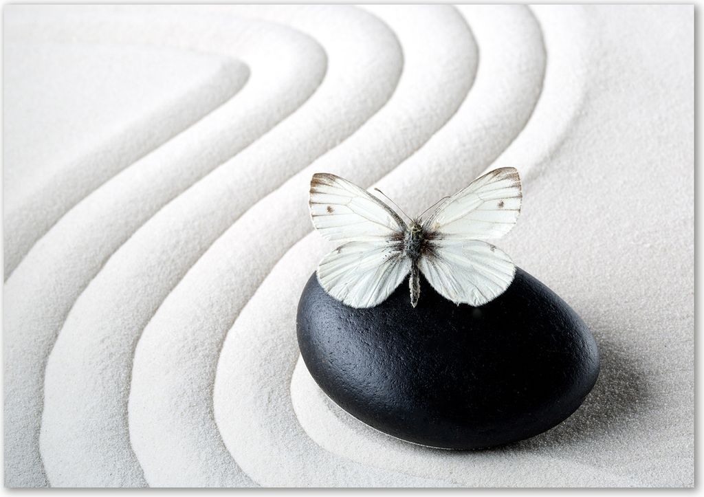 Tulup Leinwandbild - 100x70 cm - Wandkunst - Drucke auf Leinwand - Leinwanddruck - Tiere - Weiß - Zen Steine